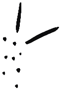 Image of the occurrence